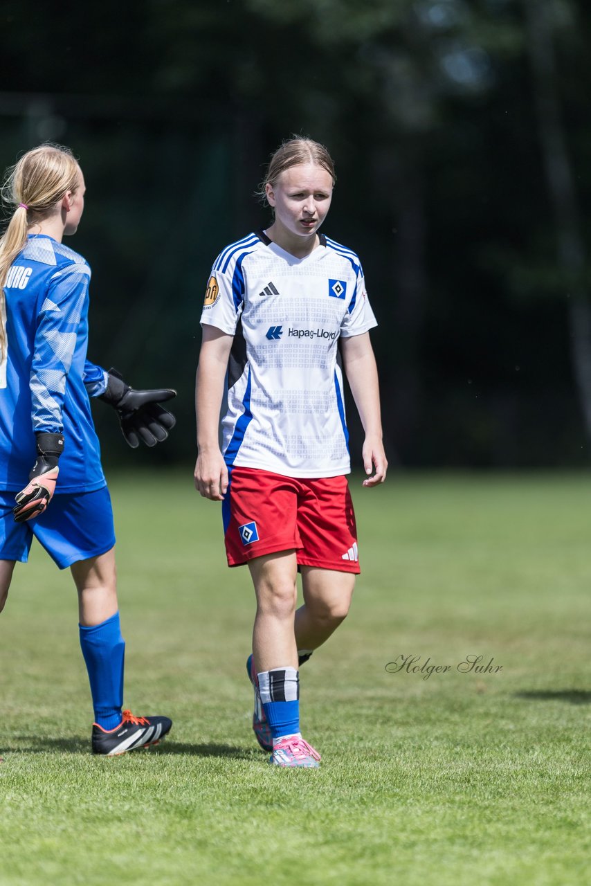 Bild 252 - wBJ Hamburger SV - VfL Wolfsburg : Ergebnis: 5:1